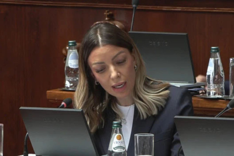 Mesarović nabrojala Aleksiću firme koje su propale u privatizaciji: Uništili ste Srbiju, a vi pričate nešto o moralu!