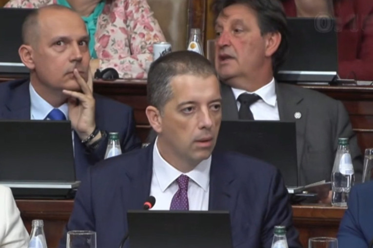 Đurić u Skupštini: Vodili smo politiku zaštite državnih interesa