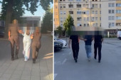 "Pali" osumnjičeni za utaju poreza i poresku prevaru: Oštetili budžet za 15 miliona (VIDEO)