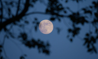 Stiže pun Mesec u Vodoliji: Astrolozi najavljuju period važnih odluka i novih početaka