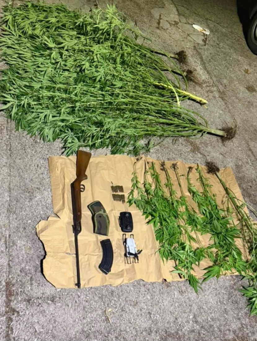 Policija upala na imanje oca i sina: U plasteniku otkrivena plantaža marihuane (FOTO)