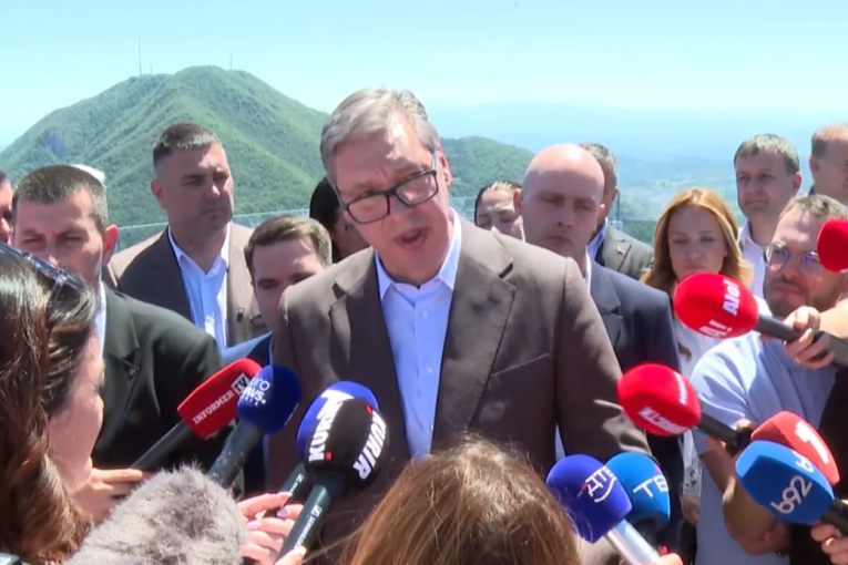 Vučić: Izjava Paunović pokazala šta je njihova politika, ne treba krivično da odgovara
