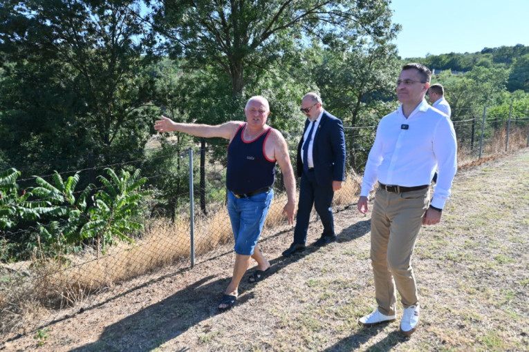 Srbija ima potencijal i ima šta da ponudi svojim ljudima: Milićević posetio porodicu koja se vratila u Srbiju iz Austrije