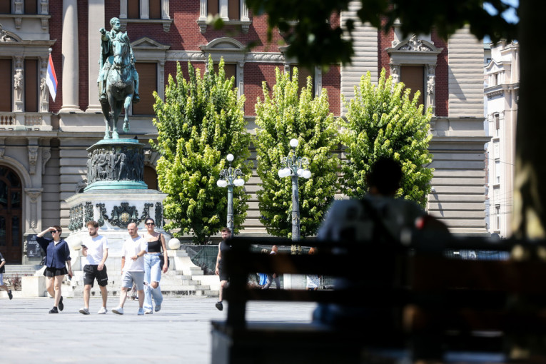 Najezda ovih buba u Beogradu! Građani ih viđaju na svakom koraku, stručnjak otkriva zašto ih je sada toliko