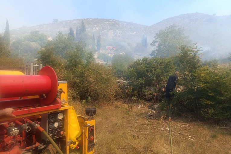Gotova sednica Republičkog štaba za vanredne situacije: Donete ove odluke u vezi sa požarima