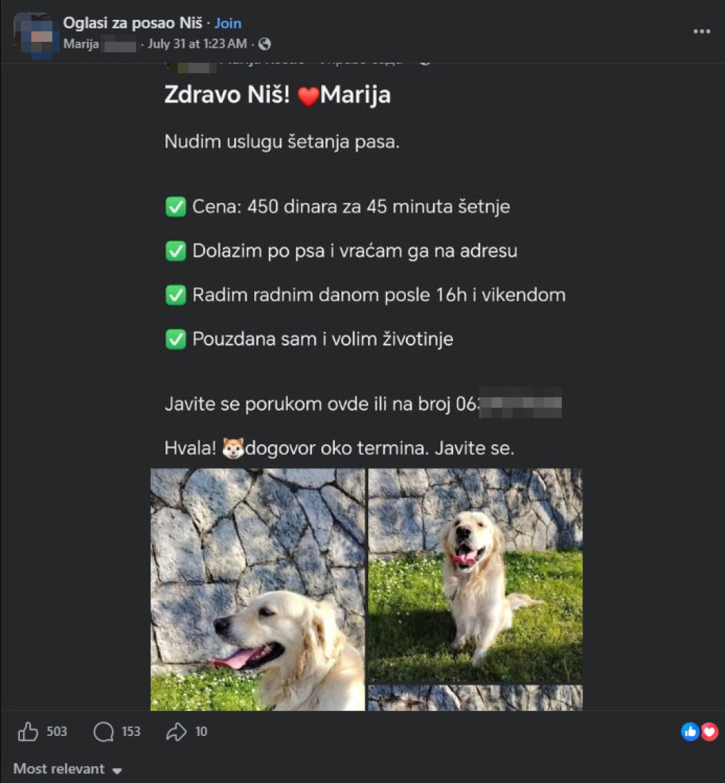 Ponudila da šeta pse za novac, pa izazvala lavinu reakcija u Fejsbuk grupi: "Ovce su za šišanje" (FOTO)