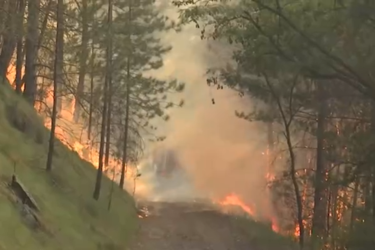 Alarm zbog požara i paklenih vrućina u Srbiji: Štab za vanredne situacije doneo ključne odluke, Vojska na zadatku!