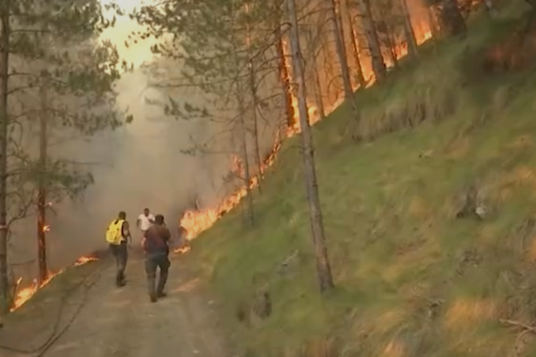 Borba sa požarima na više frontova: Iznad Ušća izgorelo oko 150 hektara šume, u akciji i helikopteri (FOTO)