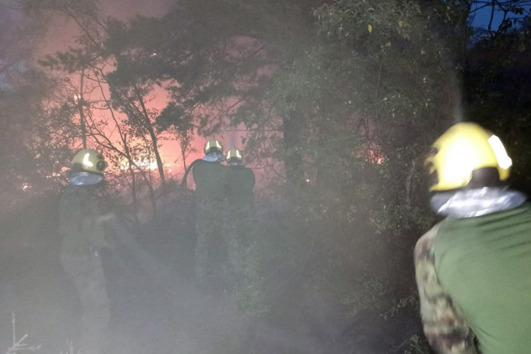 Dramatična borba sa vatrenom stihijom kod Kovina: Jak vetar menja pravac, vatrogasci ne spavaju dan i noć