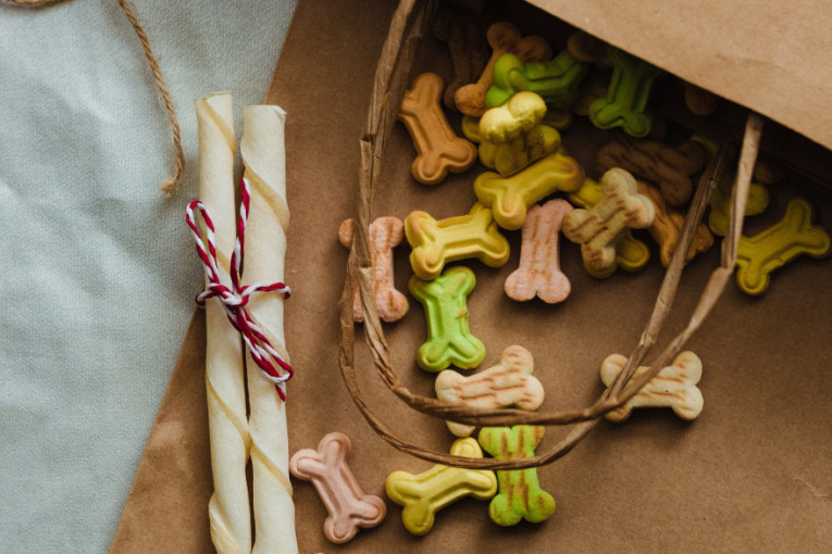 Nisu vam potrebne skupe igračke: Ove jednostavne aktivnosti su odlične za mozak vašeg psa