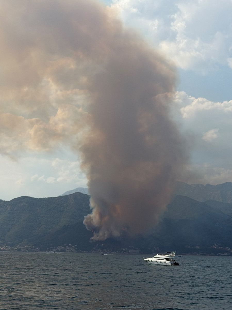 Požar zahvatio kuće kod Herceg Novog, ugrožen i Porto Novi: Počinje evakuacija hiljada turista! (FOTO/VIDEO)