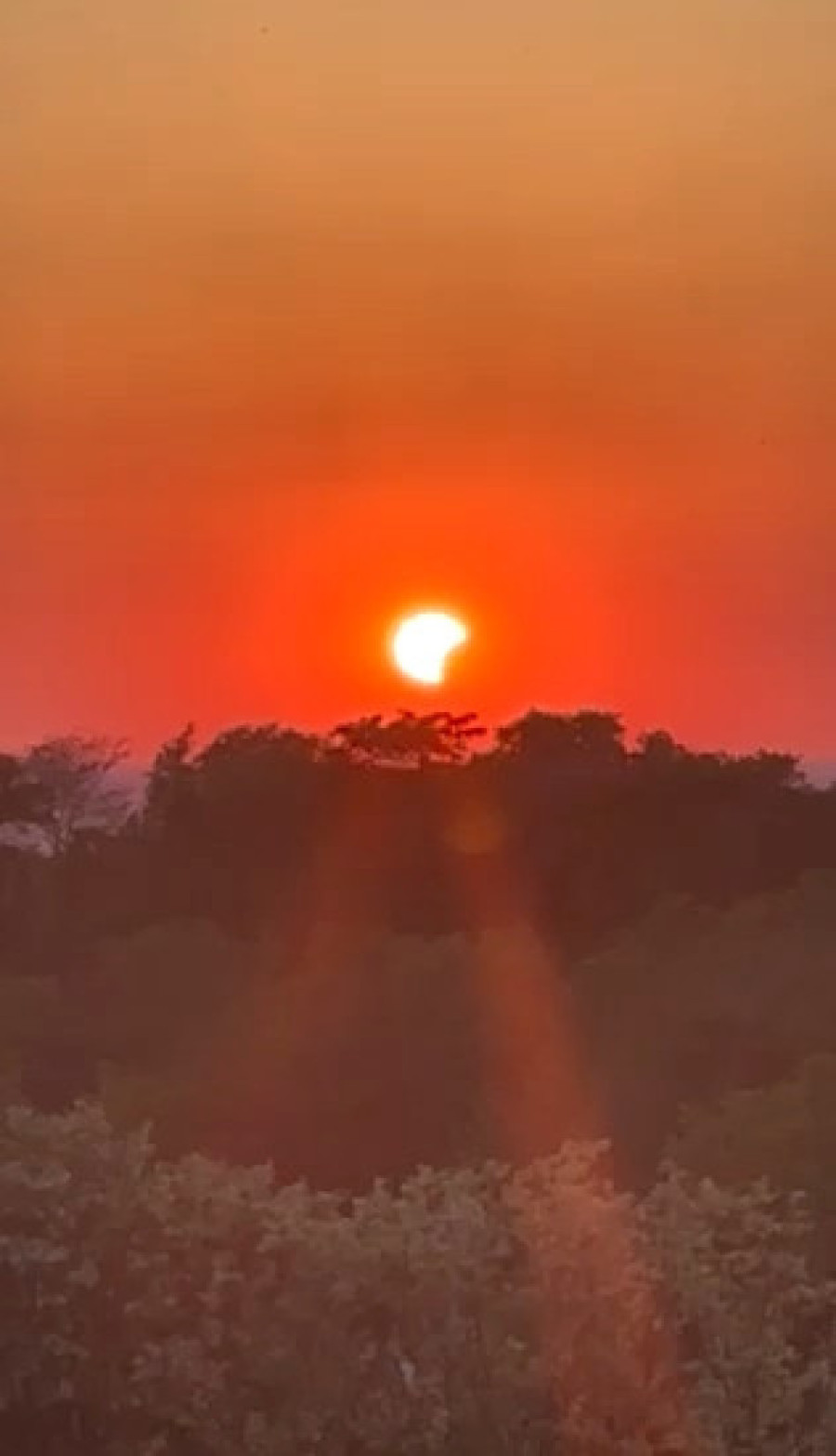 Beograđani gledali u nebo bez daha! Sunce "nestajalo" pred njihovim očima, ovako je izgledao spektakl (FOTO/VIDEO)