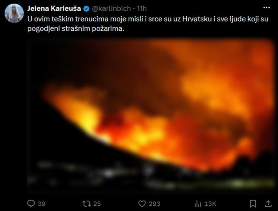 Potez Jelene Karleuše o kojem se priča: Zabranili je u Hrvatskoj, a ona im ovako uzvratila! (FOTO)