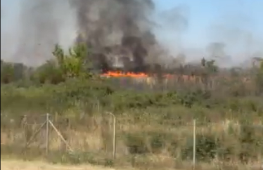 Još jedan požar buknuo u Srbiji, ovog puta blizu Beograda (VIDEO)