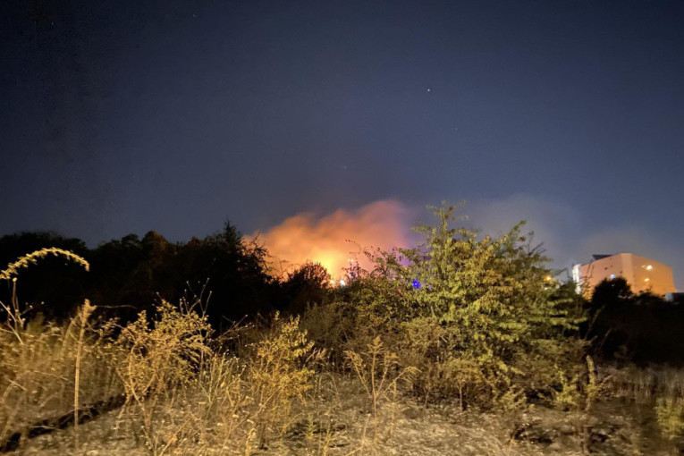 Drama u Beogradu! Buknula ogromna poljana, vatra krenula ka zgradama - komšije gasile kofama požar! (FOTO/VIDEO)