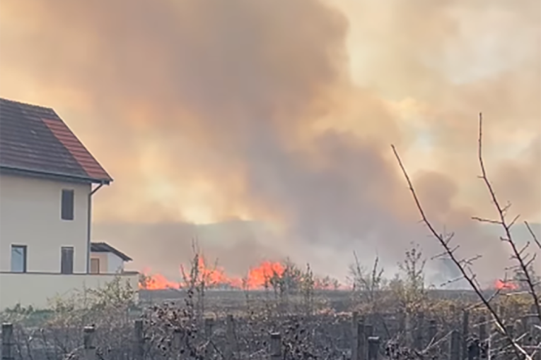 Požar kod Kladova, vatra se širi ka kućama! (VIDEO)
