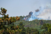Gori Zlatibor! Vatra zahvatila borovu šumu i rastinje, nadležne službe hitno izašle na teren
