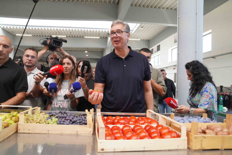 Vučić sa narodom u Ubu! Predsednik poručio: Hvala što ste se suprotstavili uništenju Srbije, očekujem ubedljivu pobedu