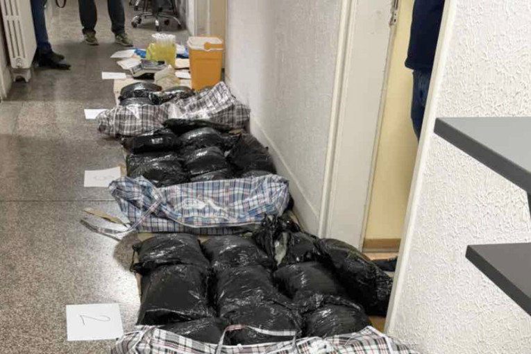 Velika zaplena u Staroj Pazovi: Na tavanu kuće pronađeno više od 38 kilograma droge, uhapšen muškarac (31)