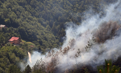Požar izbio u selu Viča: Opština Lučani uvela zabranu zbog visokih temperatura