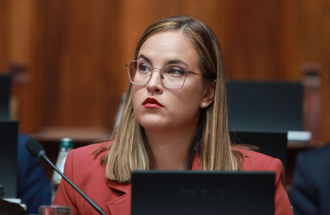 Priprema se petogodišnji plan obnove Deliblatske peščare: Čim se ugasi požar, inženjeri izlaze na teren