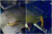 "Bilo je užasavajuće": Lisica ušla u kuću i našla tromesečnu bebu dok je majka spavala (VIDEO)