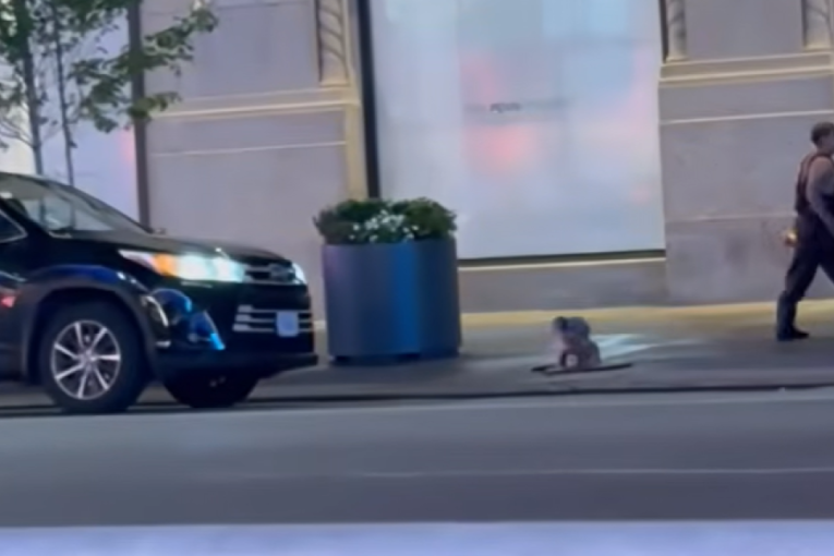 "Ljudi-krtice" ponovo na površini: Misterija u Njujorku dobila novi obrt (VIDEO)