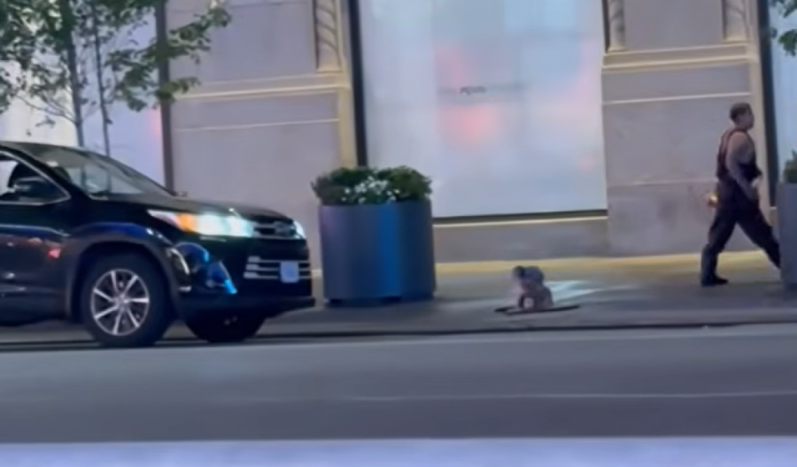 "Ljudi-krtice" ponovo na površini: Misterija u Njujorku dobila novi obrt (VIDEO)