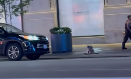 "Ljudi-krtice" ponovo na površini: Misterija u Njujorku dobila novi obrt (VIDEO)