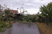 Za mojih 65 godina ne pamtim ovakvu oluju: Nevreme u Gornjoj Gorevnici napravilo haos - jak vetar nosio krovove, čupao drveće (FOTO)