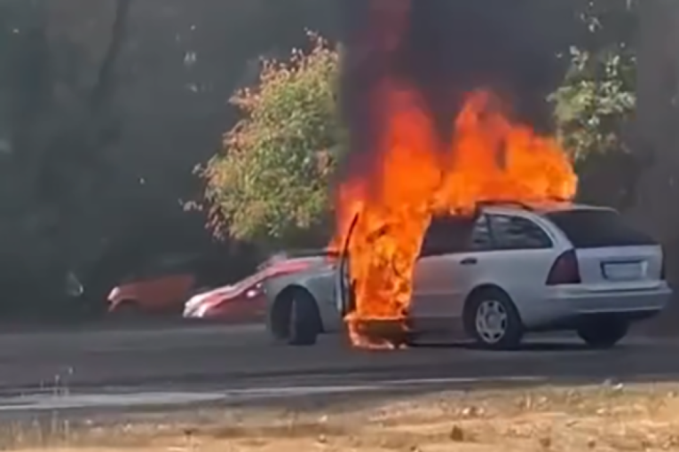 Haos na Novom Beogradu! Vatra guta automobil (VIDEO)
