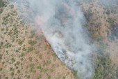 Gori Ravna Gora! Vatra progutala deset hektara, vatrogasci iz četiri grada krenuli u borbu sa stihijom