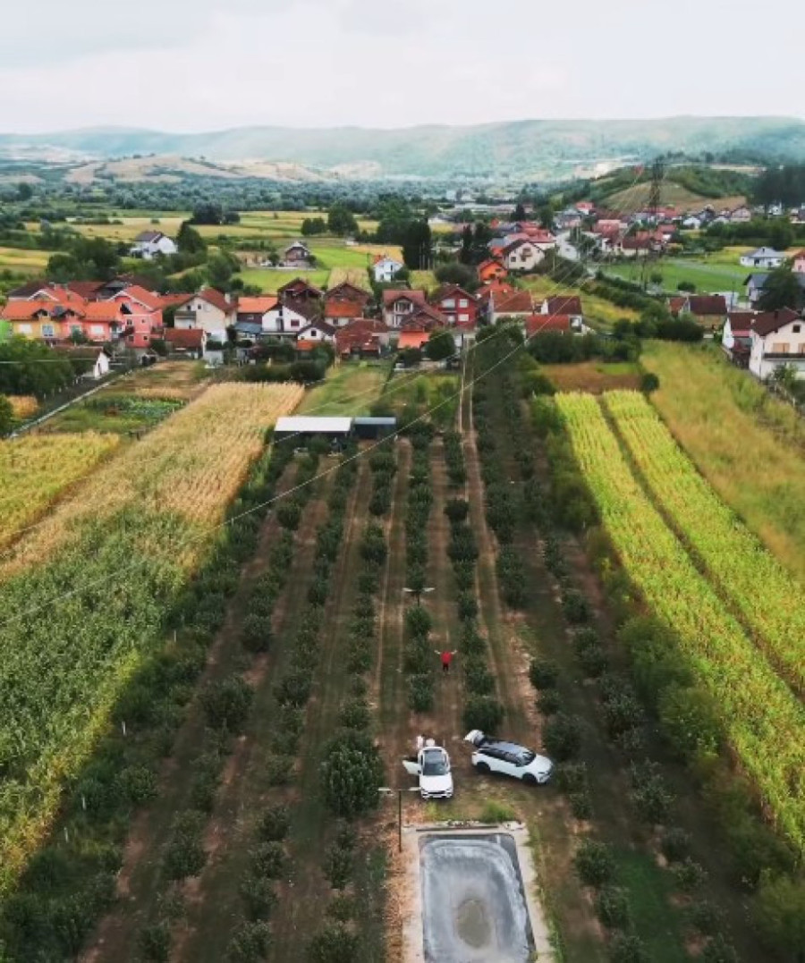 Ovo je plantaža lešnika Alena Islamovića: Na ogromnom imanju pronašao mir, a sve radi sam (FOTO/VIDEO)