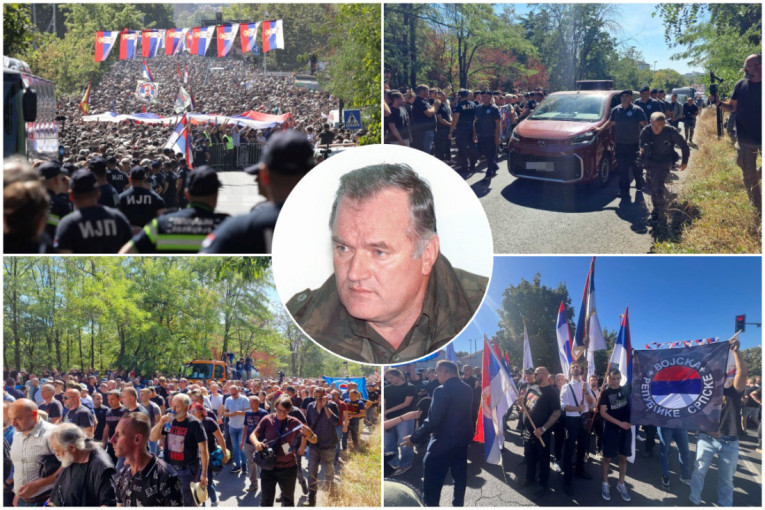 Pas Ratka Mladića znao je da prepozna stranca koji bi se približio kući! Kada je general uhapšen, njemu se izgubio svaki trag