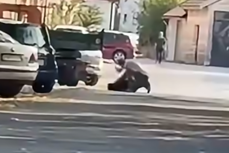 Cetinjanin tukao svog psa, pa uhapšen: Brza reakcija policije nakon prijave, sve se videlo na snimku