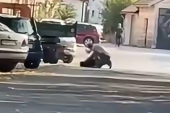 Cetinjanin tukao svog psa, pa uhapšen: Brza reakcija policije nakon prijave, sve se videlo na snimku