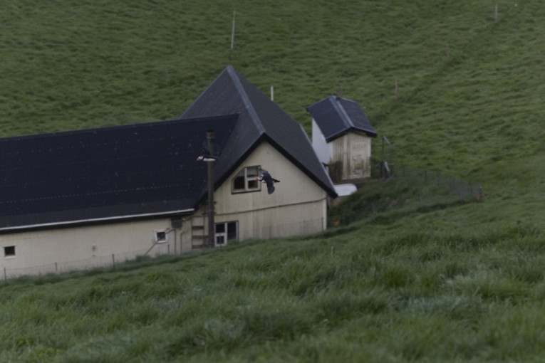 Najusamljenija kuća na svetu: Godinama kruže bizarne teorije o beloj građevini na izolovanom islandskom ostrvu (FOTO)