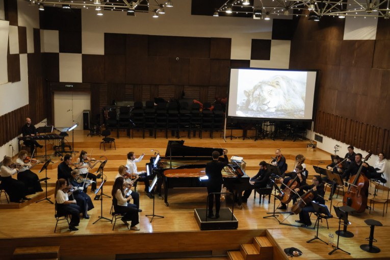Od petlova do kornjača, dinosaurusa i kengura: Muzički safari za klince u Beogradskoj filharmoniji (FOTO)