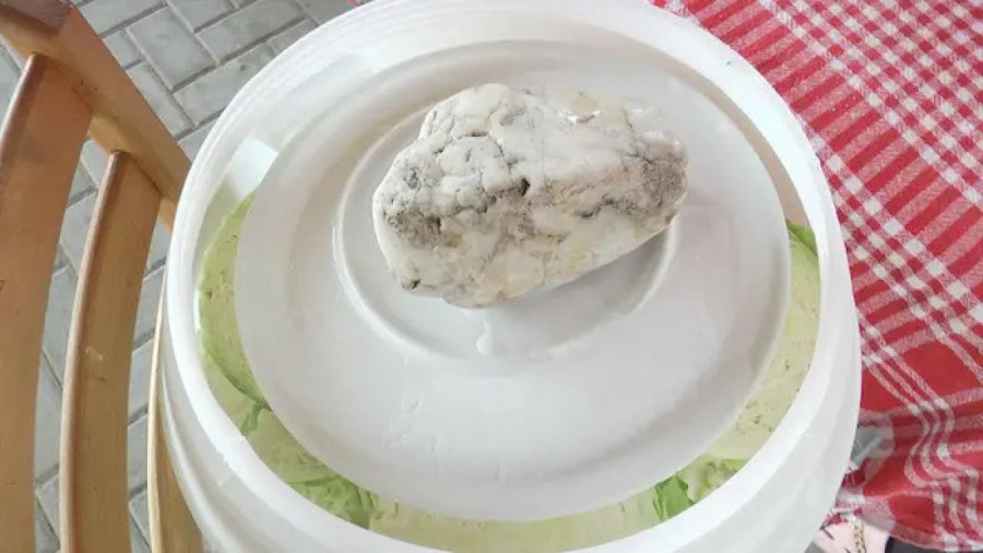 Kako se pravilno kiseli kupus? Marija iz Mrčajevaca otkrila porodični recept i grešku koju treba izbeći