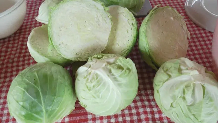 Kako se pravilno kiseli kupus? Marija iz Mrčajevaca otkrila porodični recept i grešku koju treba izbeći