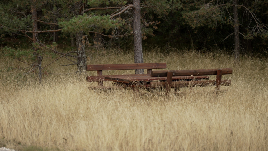 Zlatibor kakav mnogi ne poznaju: Na nekoliko kilometara od centra žive medvedi i rastu čak 26 vrsta divljih orhideja