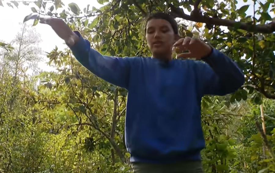 Dečaka napala medvedica u dvorištu, on odlučio da se bori s njom: Da sam bežao, poginuo bih (VIDEO)