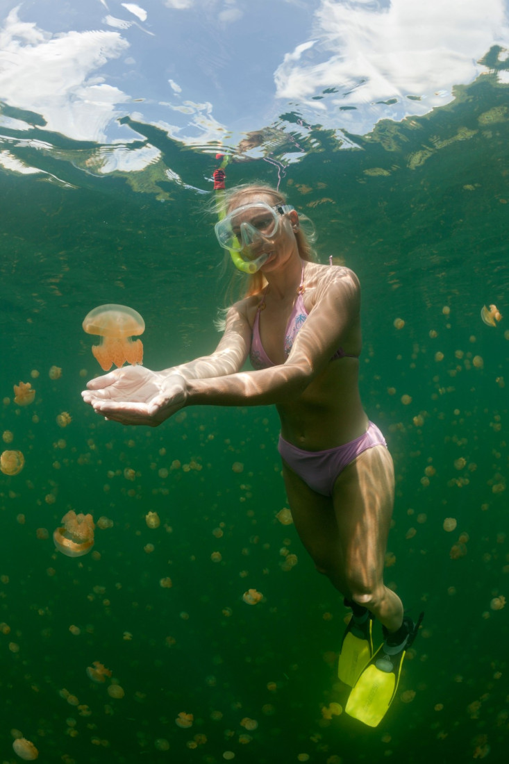 Pravo čudo prirode: Turisti plivaju sa hiljadama meduza u ovom neobičnom jezeru (FOTO)