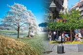 Zima i leto u istom danu! Srbija se probudila uz mraz, a temperatura će potom skočiti više od 20 stepeni